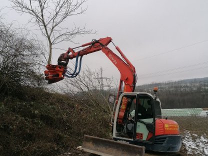 Bild 2:Energieholzernte