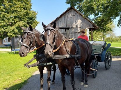 Bild 3:Pferde-Trekking