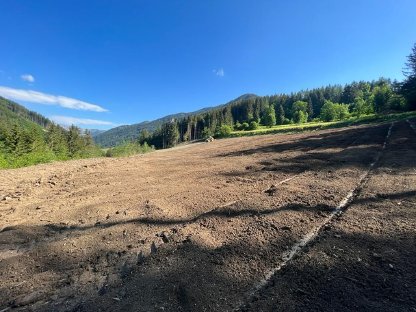 Bild 5:Forst- Alm- Wegsanierung,Rekultivierung,Böschungspflege