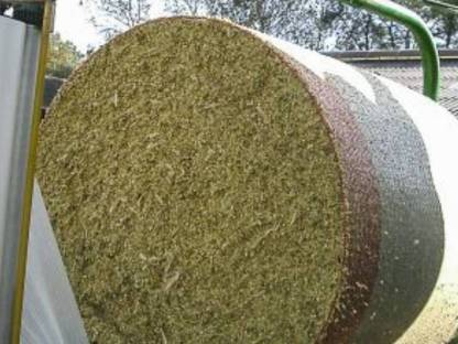 Bild 2:Maisballen pressen, Mais in Rundballen