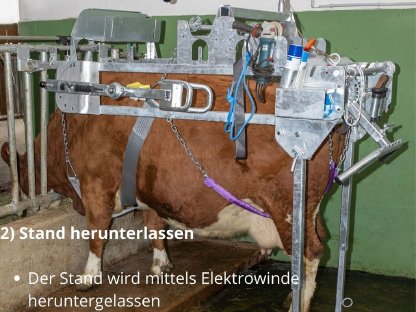 Bild 3:Speed-Fix Klauenpflegestand