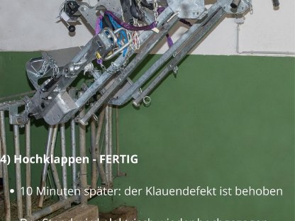 Bild 5:Speed-Fix Klauenpflegestand