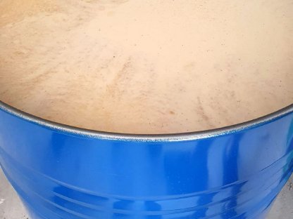 Bild 2:285 kg gold-gelber Sonnenblumen Honig im Fass / 40kg Hobbock