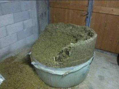 Bild 3:Maisballen pressen, Mais in Rundballen