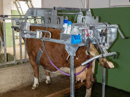 Bild 9:Speed-Fix Klauenpflegestand