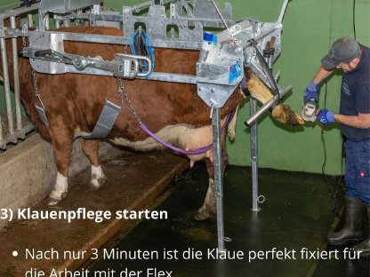 Bild 4:Speed-Fix Klauenpflegestand
