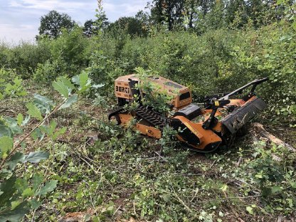 Bild 2:Aufforstungsflächen vorbereiten und pflegen