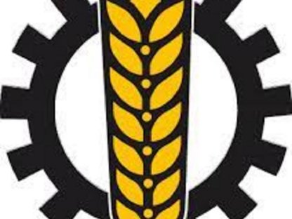 Bild 2:Mais häckseln