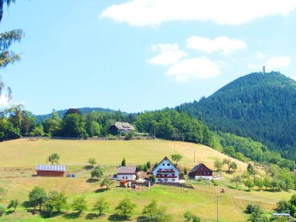 Ferienwohnungen - Ferenhaus im Schwarzwald, Natur pur