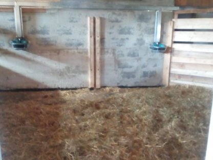 Bild 8:Stall mit 3 Pferdeboxen zu vermieten