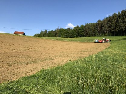 Bild 5:Einzelkornsaat mit Bodenmischprofi