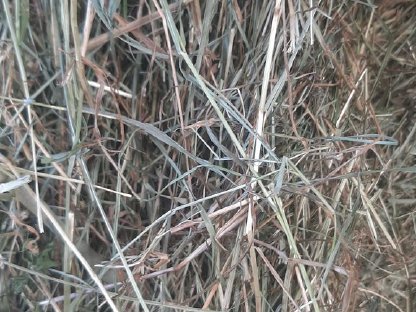 Bild 4:Heurundballen