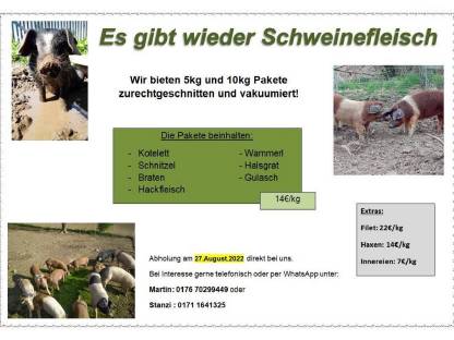 Bild 2:Schweinefleisch Freilandschweine Freilandhaltung