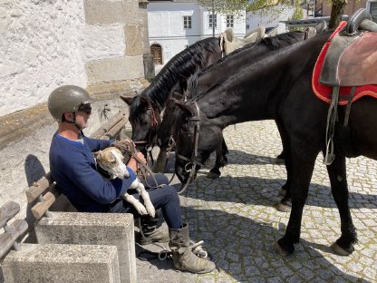 Bild 2:Pferde-Trekking