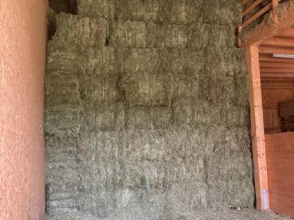 Heu 1. Schnitt, warmbelüftet