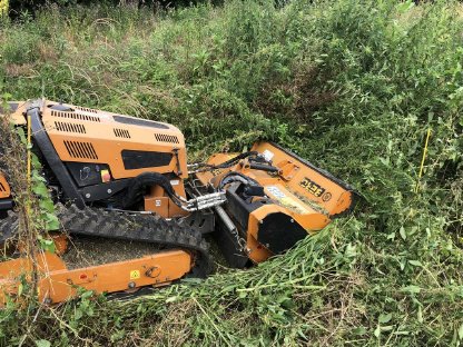 Bild 8:Aufforstungsflächen vorbereiten und pflegen