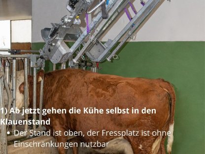 Bild 2:Speed-Fix Klauenpflegestand