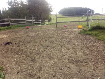 Bild 2:Stall mit 3 Pferdeboxen zu vermieten