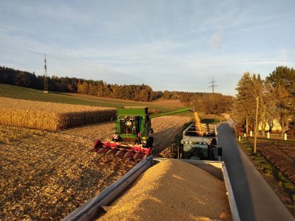 Bild 4:Maisernte mit Agrar Schneeberger