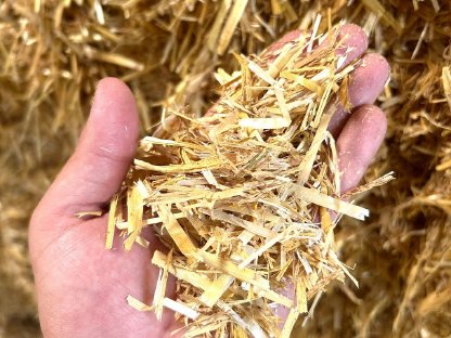 Bild 4:Stroh 2025