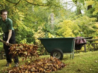 Bild 2:Gartenpflege, Gartenarbeit, Reinigung