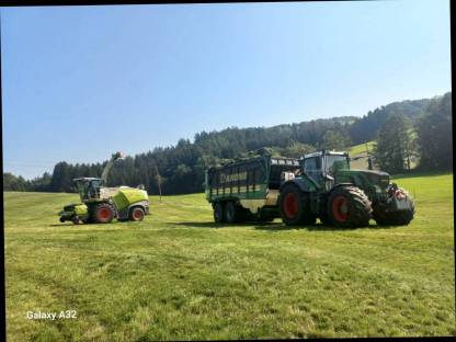 Bild 3:Mais häckseln komplett mit Häckselkette