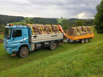Bild 4:Brennholz Hartholz Buche Rundballen