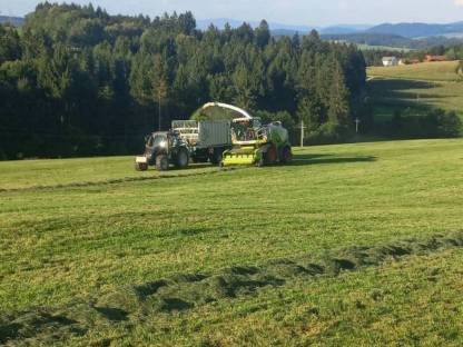 Bild 4:Mais häckseln komplett mit Häckselkette