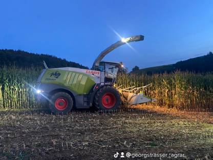 Bild 8:Maisernte Siloschlauch