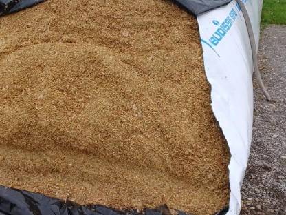 Bild 4:Maisernte Siloschlauch