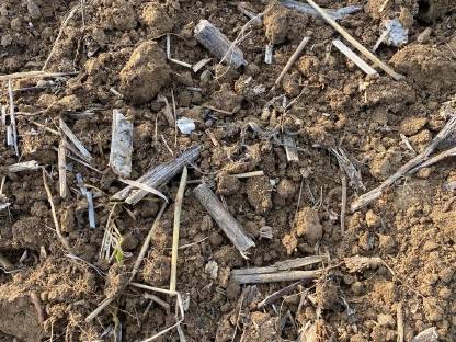 Bild 2:Stoppelbearbeitung