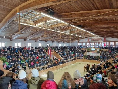 Bild 4:Versteigerung Maishofen