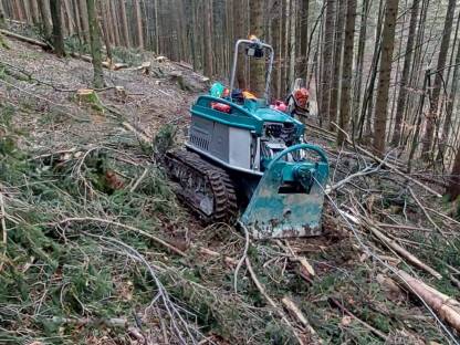 Bild 3:Forst-und Landschaftspflege