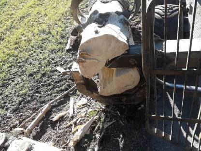 Bild 4:Langholzspalten  über 1m