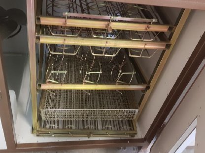 Bild 4:Inkubator Brutkasten