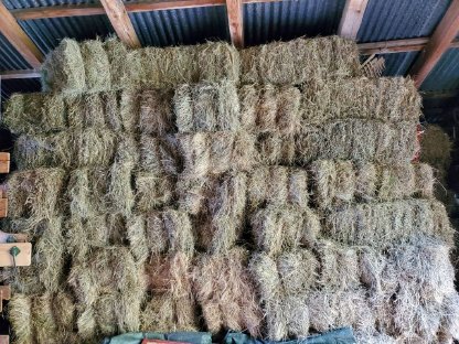 Bild 2:2025 BIO Heu in Kleinballen