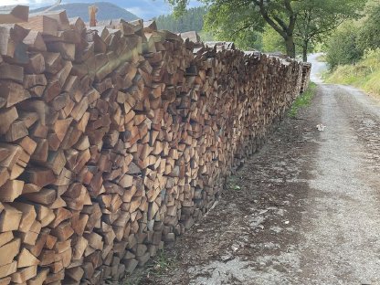 Bild 3:Brennholz zu verkaufen – Hochwertiges, trockenes Buchenholz