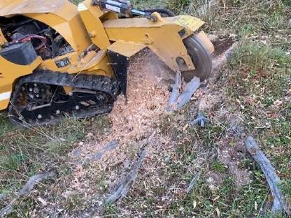 Bild 2:Bitte Baumstumpfabtragungen aller Art an