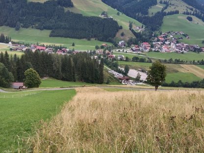 Bild 3:Grundstück Tirol (Zöblen) 2.852 m², im Winter Verpachtung