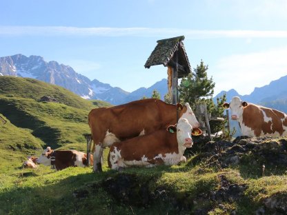 Bild 3:Versteigerung Maishofen