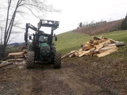 Bild 3:Langholzspalten  über 1m