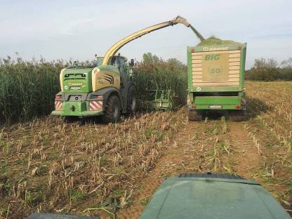 Bild 4:Übernehme Mais Ernte / Häckseln / Silieren