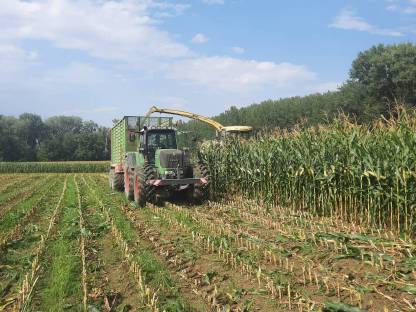 Bild 5:Übernehme Mais Ernte / Häckseln / Silieren