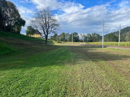 Bild 2:Mulchen/Schlägeln