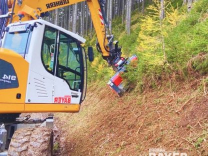 Bild 2:Böschungs- u. Bankettpflege