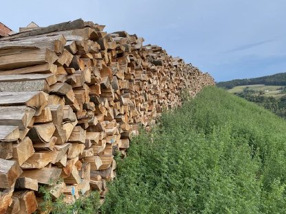 Bild 4:Brennholz zu verkaufen – Hochwertiges, trockenes Buchenholz