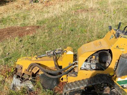 Bild 4:Bitte Baumstumpfabtragungen aller Art an