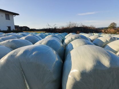 Bio Siloballen, Rundballen 140 cm