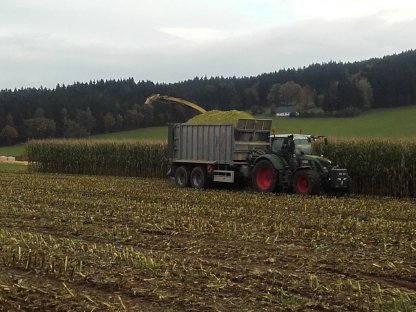 Bild 8:Lohnarbeit in der Maisernte