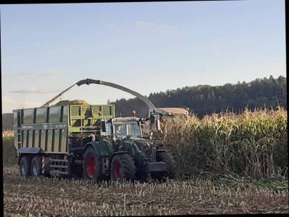 Bild 3:Lohnarbeit in der Maisernte